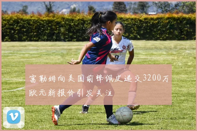 富勒姆向美国前锋佩皮递交3200万欧元新报价引发关注